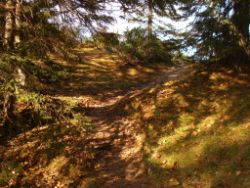 2013-10-26_Schildenstein (257).JPG